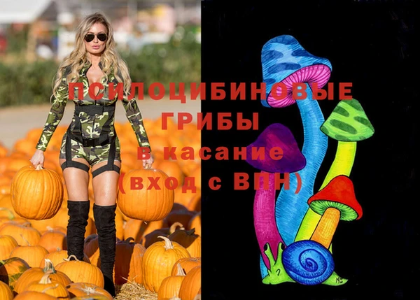 круглые Инта
