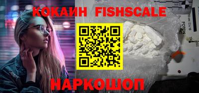 крисы Анжеро-Судженск