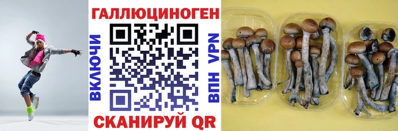 Галлюциногенные грибы прущие грибы  Истра 