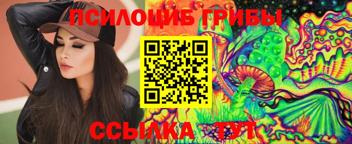 Псилоцибиновые грибы мицелий Истра