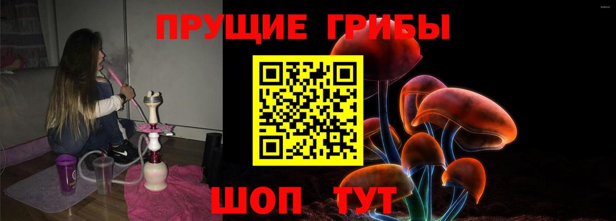 Псилоцибиновые грибы Magic Shrooms  Псилоцибиновые грибы Psilocybine cubensis  как найти закладки  Истра  Вход с VPN 
